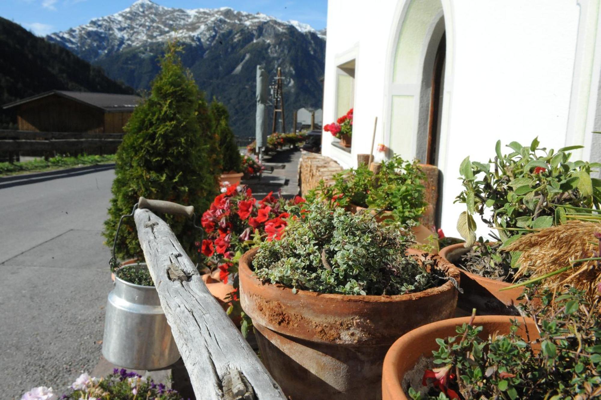 Naturhotel Berghof Pfunds Exterior foto